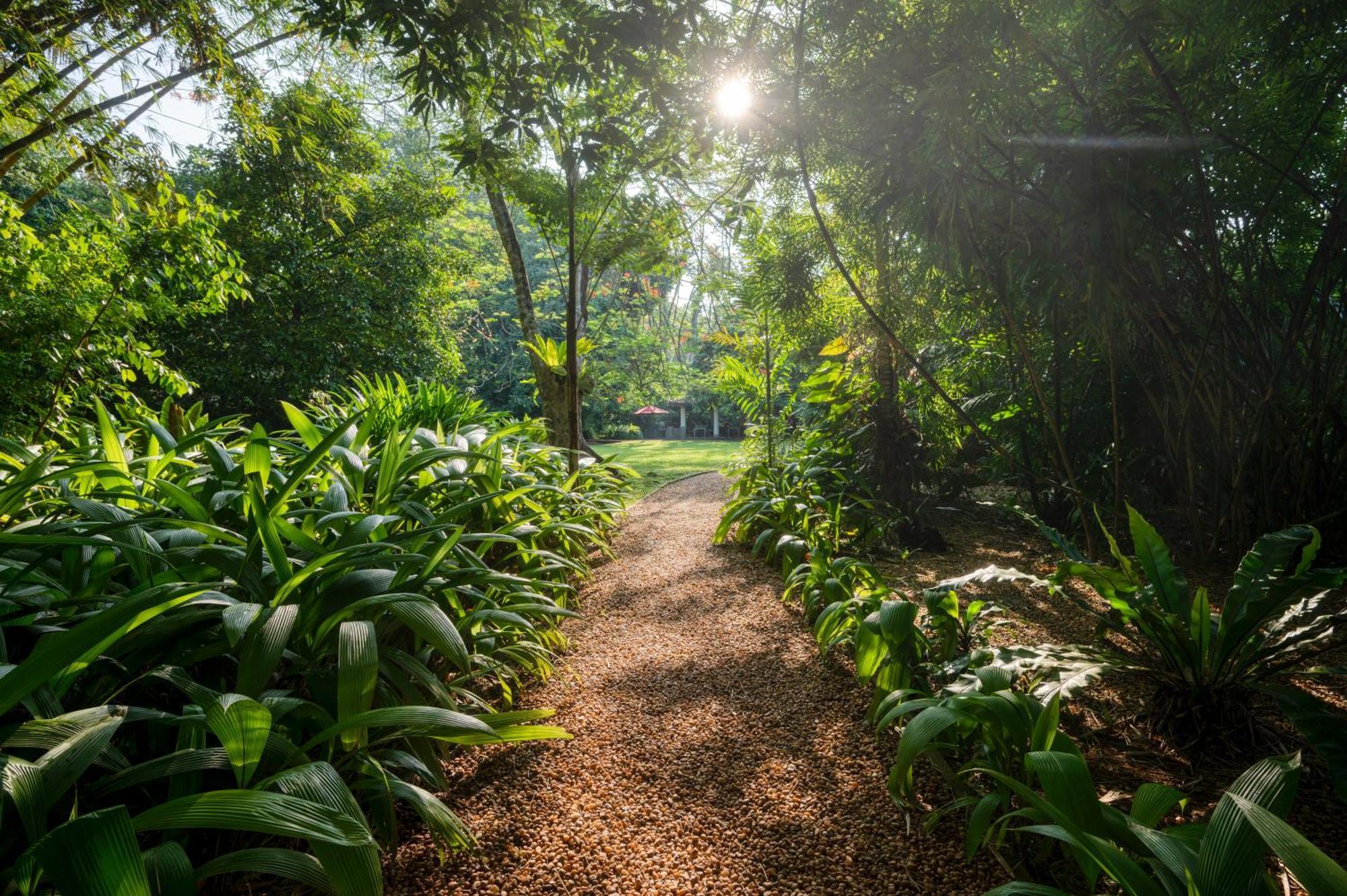 Wallawwa Katunayaka Exteriér fotografie