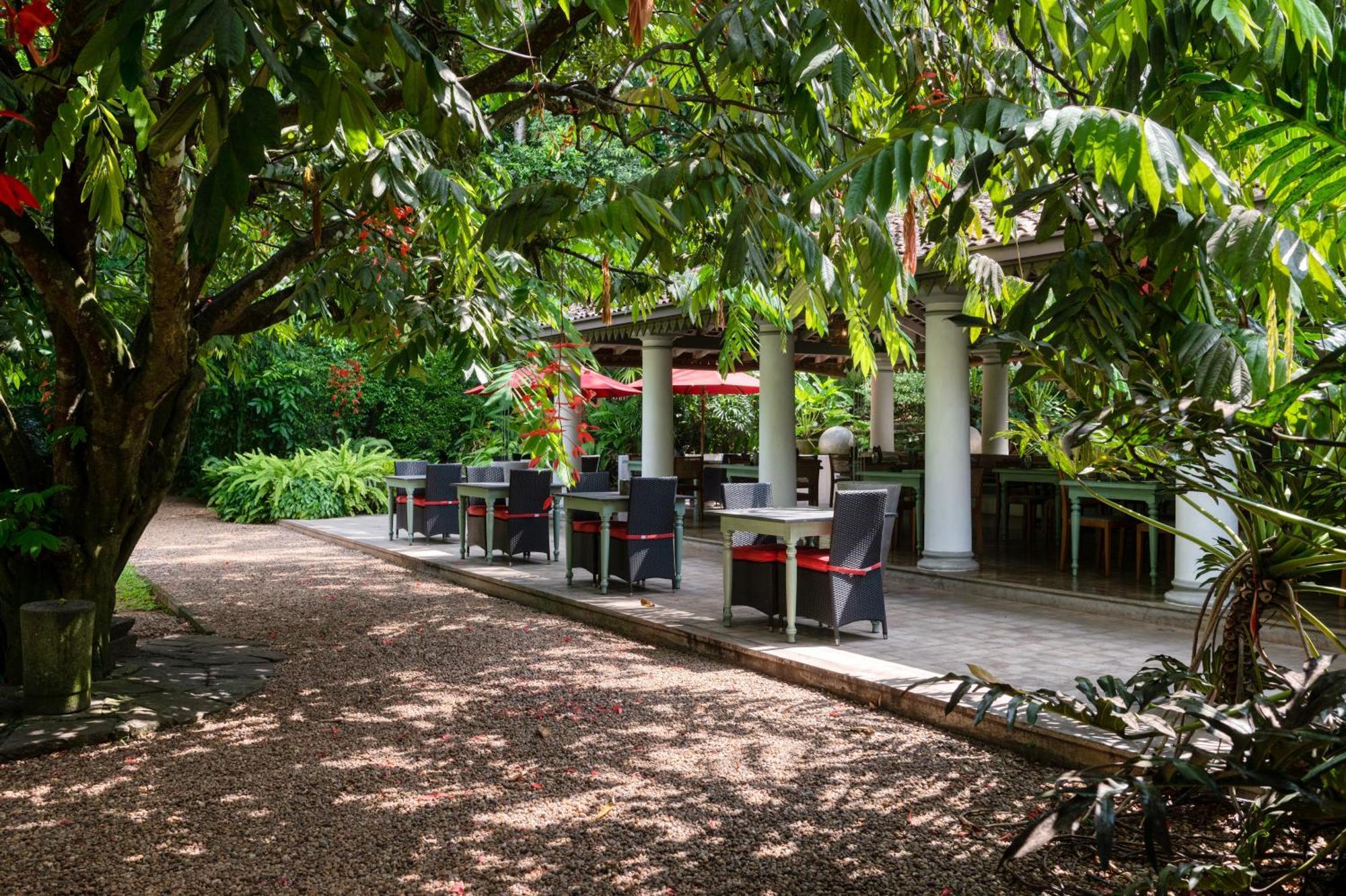Wallawwa Katunayaka Exteriér fotografie